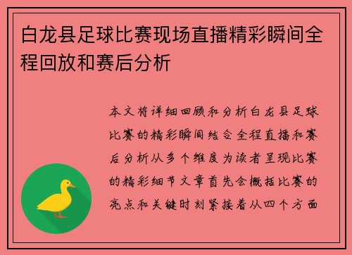 白龙县足球比赛现场直播精彩瞬间全程回放和赛后分析